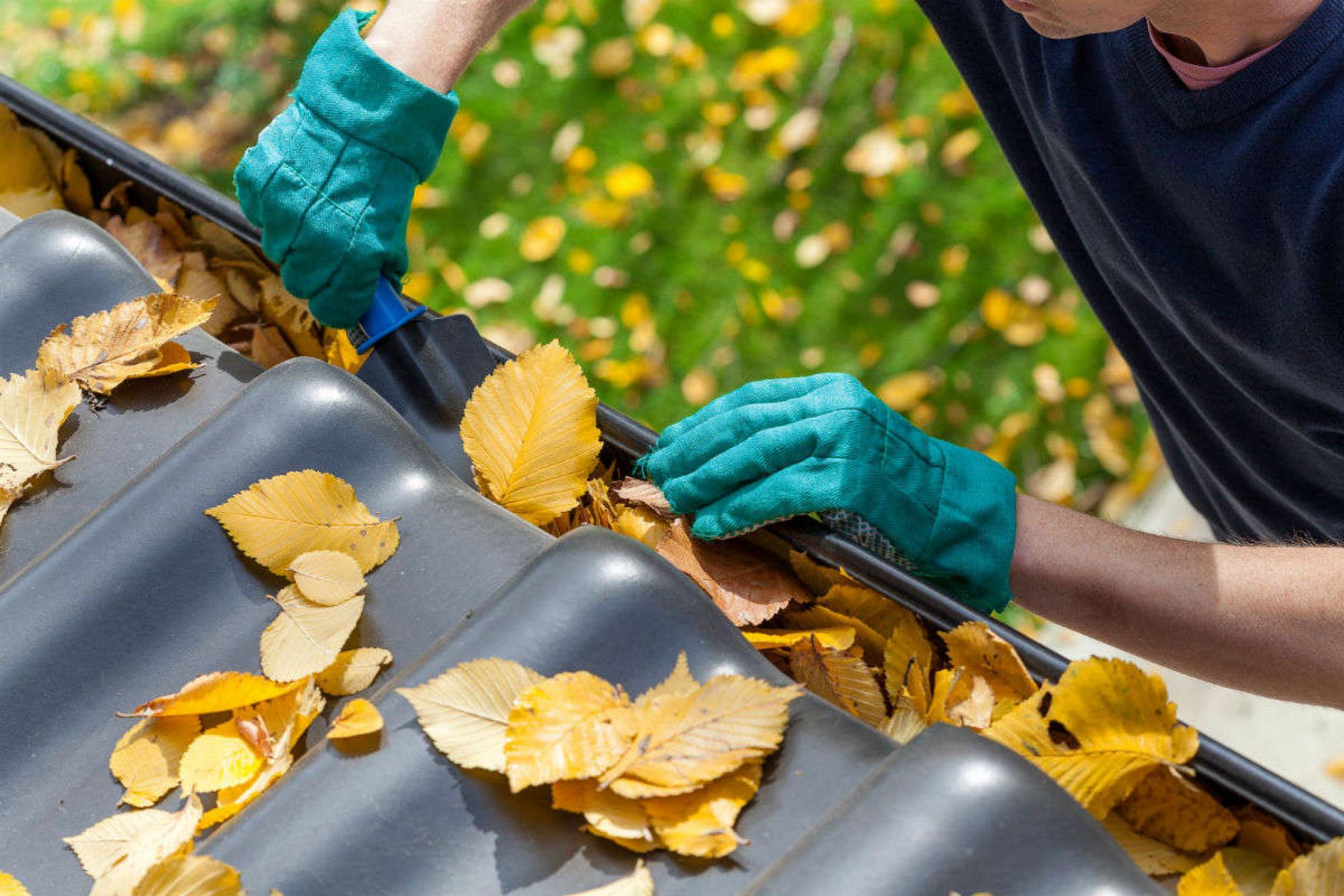 enlever les feuilles présentes dans une gouttière